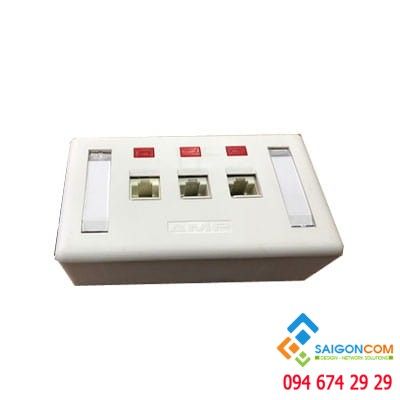 Bộ Wall Plate AMP 3 Port