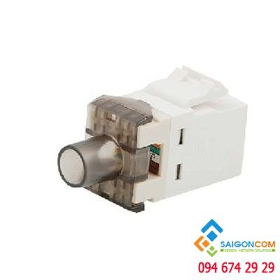 Nhân mạng Commscope/AMP CAT5E | PN: 1-1375191-1