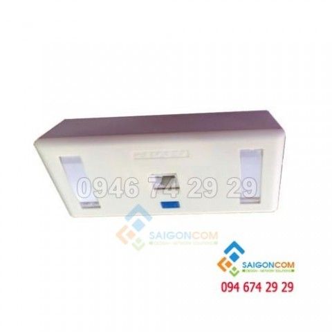 Bộ Wall Plate AMP 1 Port (NHÂN+ĐẾ+MẶT) cat6