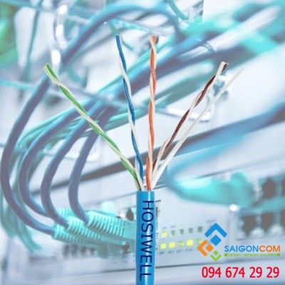 CÃ¡p máº¡ng Hosiwell Cat5e UTP dÃ¹ng trong thang mÃ¡y Cable Â 4P x 24 AWG