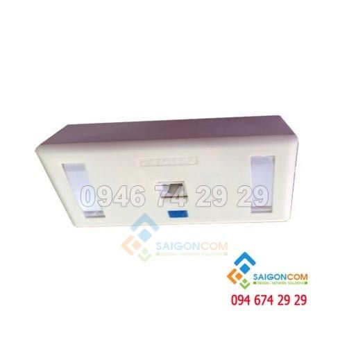 Bộ Wall Plate AMP 1 Port (NHÂN+ĐẾ+MẶT) cat6