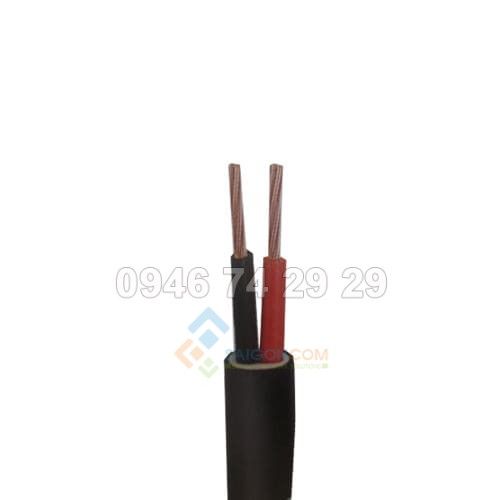 Dây cáp điện ThiPha Cable CVV 2x4.0